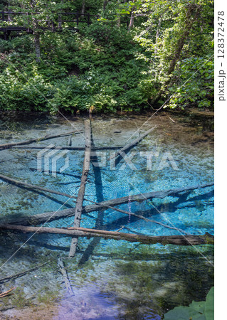 北海道清里町の神の子池 128372478