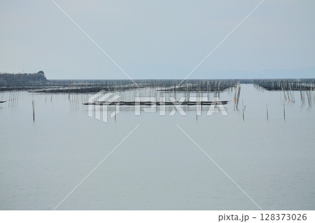 大牟田市 有明海 海苔畑、 大牟田市 有明海 海苔畑、 128373026