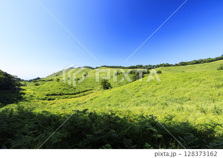 快晴の青空をバックに風力発電の風車がある風景を撮影 128373162