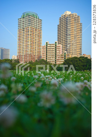 カラフルなタワーマンション 128373836