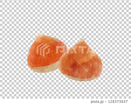 栗のイラスト　水彩 128373837