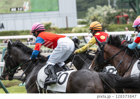 競馬場の風景　直線を走る馬　福島県福島市 128373847