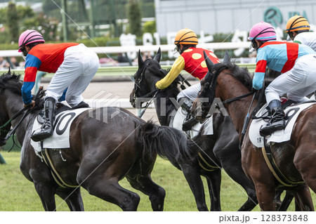 競馬場の風景　直線を走る馬　福島県福島市 128373848