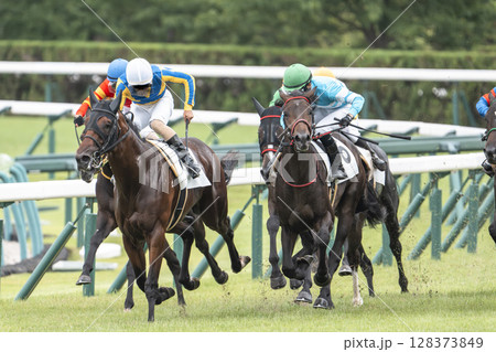競馬場の風景　直線を走る馬　福島県福島市 128373849