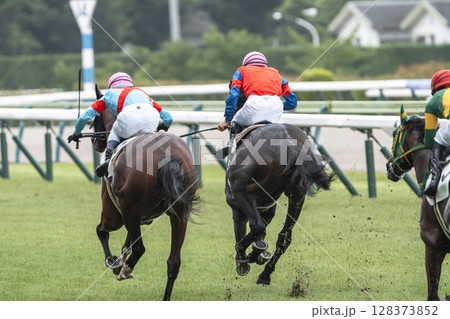 競馬場の風景　直線を走る馬　福島県福島市 128373852