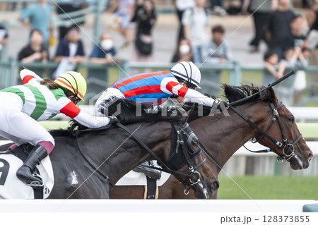 競馬場の風景　直線を走る馬　福島県福島市 128373855