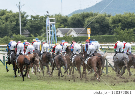 競馬場の風景 直線を走る馬 福島県福島市 競馬場の風景 直線を走る馬 福島県福島市 128373861