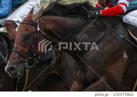 競馬場の風景 直線を走る馬 福島県福島市 競馬場の風景 直線を走る馬 福島県福島市 128373862