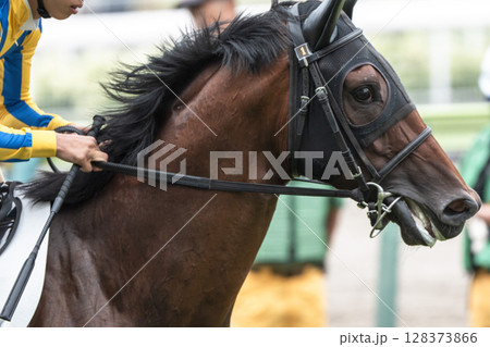 競馬場の風景　直線を走る馬　福島県福島市 128373866