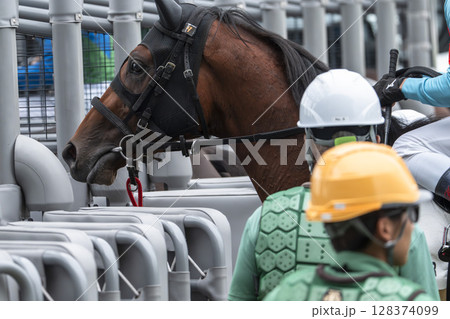 競馬場の風景　ゲートインする馬　福島県福島市 128374099
