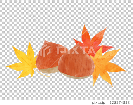 楓葉和栗子的水彩插圖 128374838