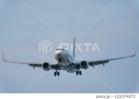夕暮れの仙台空港　着陸中の飛行機　宮城県名取市 128374872