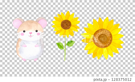 Ham-chan and sunflower illustration 128375012
