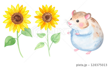 ハムちゃんとヒマワリのイラスト 128375013