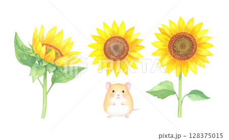 ハムちゃんとヒマワリのイラスト 128375015