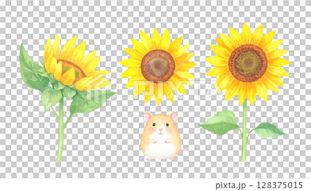 ハムちゃんとヒマワリのイラスト 128375015
