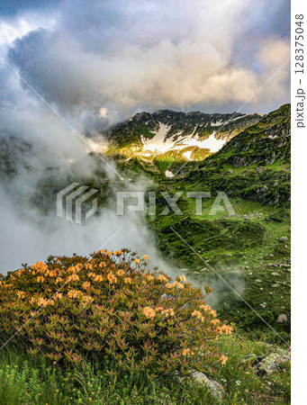 Alpine meadows of the Caucasus. Alpine meadows of the Caucasus. 128375048