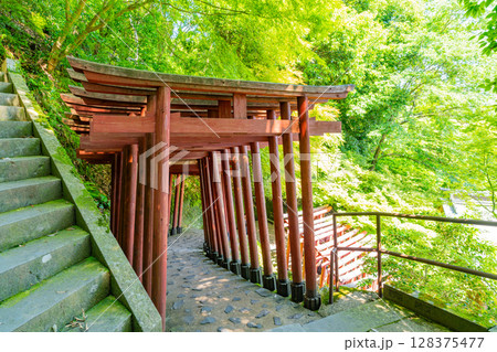 （佐賀県）祐徳稲荷神社　奥の院に続く参道 128375477