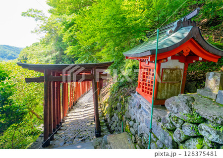 (佐賀県)祐徳稲荷神社 奥の院に続く参道 (佐賀県)祐徳稲荷神社 奥の院に続く参道 128375481