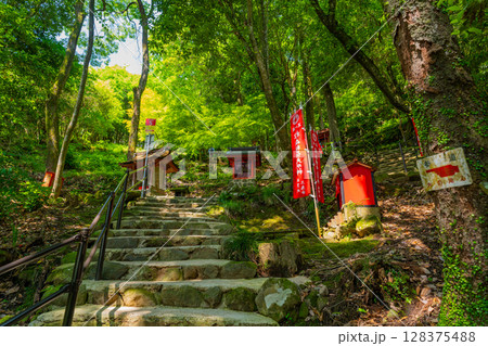 (佐賀県)祐徳稲荷神社 奥の院に続く参道 (佐賀県)祐徳稲荷神社 奥の院に続く参道 128375488