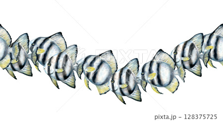 Seamless border of black and white striped tropical fish living on coral reefs. Watercolor wave pattern in neutral colors on white background for marine design, scrapbooking, stickers, craft, textile. Seamless border of black and white striped tropical fish living on coral reefs. Watercolor wave pattern in neutral colors on white background for marine design, scrapbooking, stickers, craft, textile. 128375725