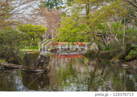 磐田市のつつじ公園の風景(静岡県) 磐田市のつつじ公園の風景(静岡県) 128376713