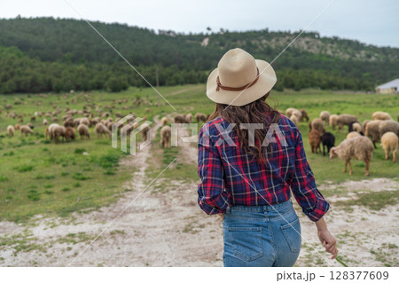 A woman wearing a straw hat stands in a field of sheep 128377609