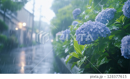 紫陽花と雨音 128377615