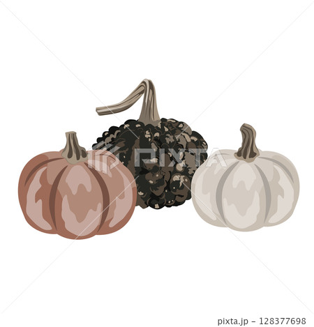 Pumpkins composition isolated on white. Cozy small gourds autumn decoration. Vector squash set illustration 128377698