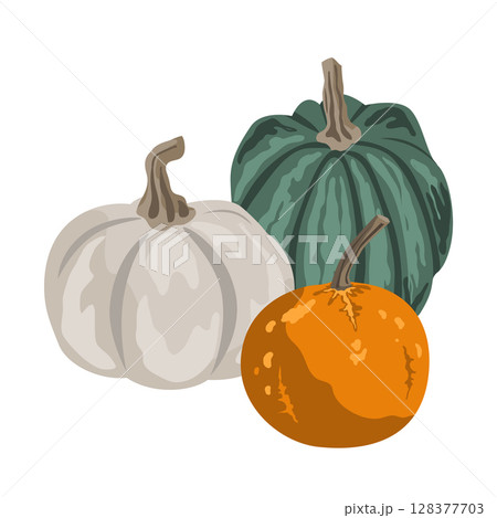 Pumpkins composition isolated on white. Cozy small gourds autumn decoration. Vector squash set illustration. 128377703