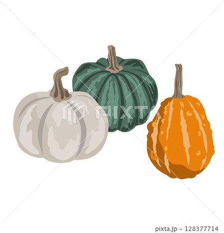 Pumpkins composition isolated on white. Cozy small gourds autumn decoration. Vector squash set illustration. 128377714