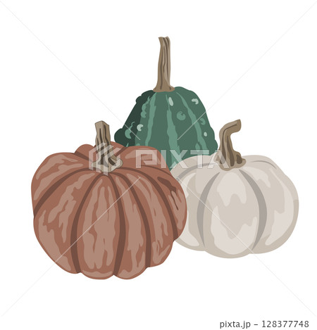 Pumpkins composition isolated on white. Cozy small gourds autumn decoration. Vector squash set illustration 128377748