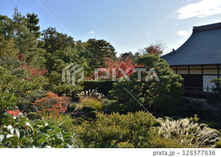 秋の等持院　芙蓉池と方丈(京都市北区) 128377836