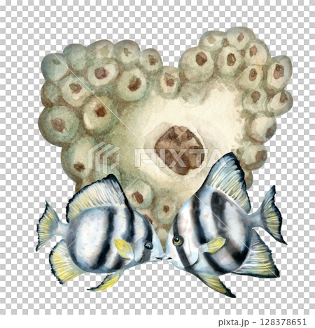 Big heart of beige corals, black-white striped tropical fish. Watercolor hand drawn clipart in beige tones on a white background for sea design, valentine's day, diving, scrapbook, stickers, textile. Big heart of beige corals, black-white striped tropical fish. Watercolor hand drawn clipart in beige tones on a white background for sea design, valentine's day, diving, scrapbook, stickers, textile. 128378651