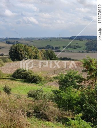 Idyllic rural view of pretty farmland and healthy livestock, in the beautiful surroundings of the Cotswolds, England, UK. 128378659