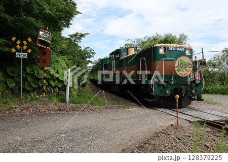 くしろ湿原ノロッコ号（JR釧網本線・塘路駅付近の踏切） 128379225