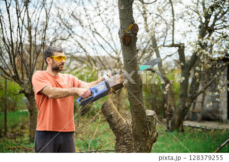 Young man cutting trees using electrical chainsaw in motion at his backyard Young man cutting trees using electrical chainsaw in motion at his backyard 128379255