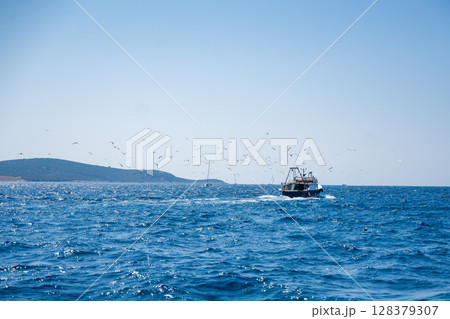 Fishing boat near the Croatian coast surrounded by a flock of seagulls above the sea. Traditional fishing, coastal life and maritime nature in the Adriatic. 128379307