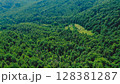 Aerial view of a forest clearing among mixed green forest on a summer day. Glade in a coniferous-deciduous forest from a bird's eye view. 128381287