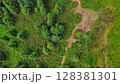 Aerial view of a group of young hikers with backpacks walking along a winding rocky forest path to the top of the mountain. Hiking, climbing, traveling, trekking, backpacking. 128381301