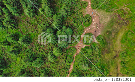 Aerial view of a group of young hikers with backpacks walking along a winding rocky forest path to the top of the mountain. Hiking, climbing, traveling, trekking, backpacking. Aerial view of a group of young hikers with backpacks walking along a winding rocky forest path to the top of the mountain. Hiking, climbing, traveling, trekking, backpacking. 128381301