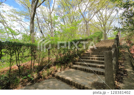 宮城県・塩釜市・みなと公園 宮城県・塩釜市・みなと公園 128381402