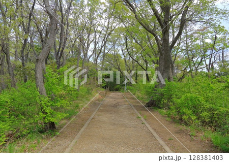 宮城県・塩釜市・みなと公園 宮城県・塩釜市・みなと公園 128381403