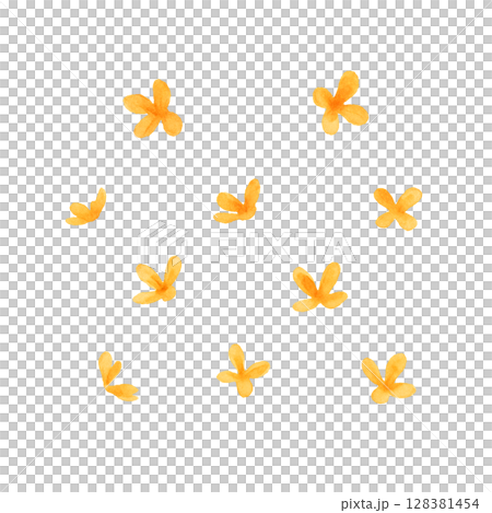 Osmanthus illustration watercolor 128381454