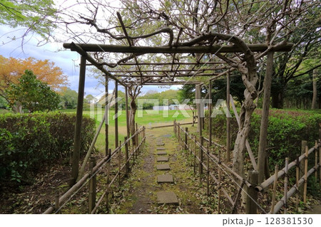 宮城県・塩釜市・みなと公園 128381530