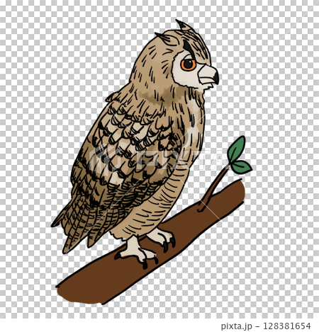 Landscape wormwood 128381654