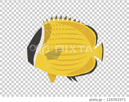 矢量圖的蝴蝶魚 矢量圖的蝴蝶魚 128381971