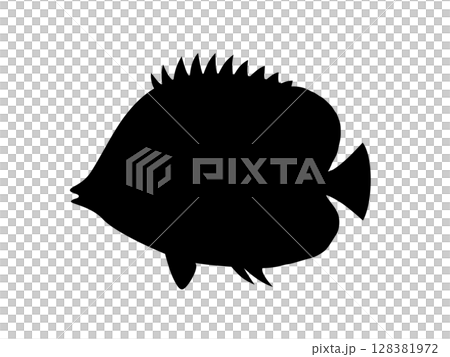 蝴蝶魚剪影_向量插圖 128381972