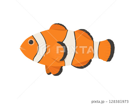 カクレクマノミのベクターイラスト 128381973