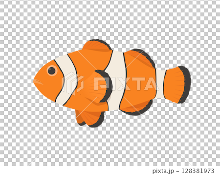 矢量圖的小丑魚 矢量圖的小丑魚 128381973